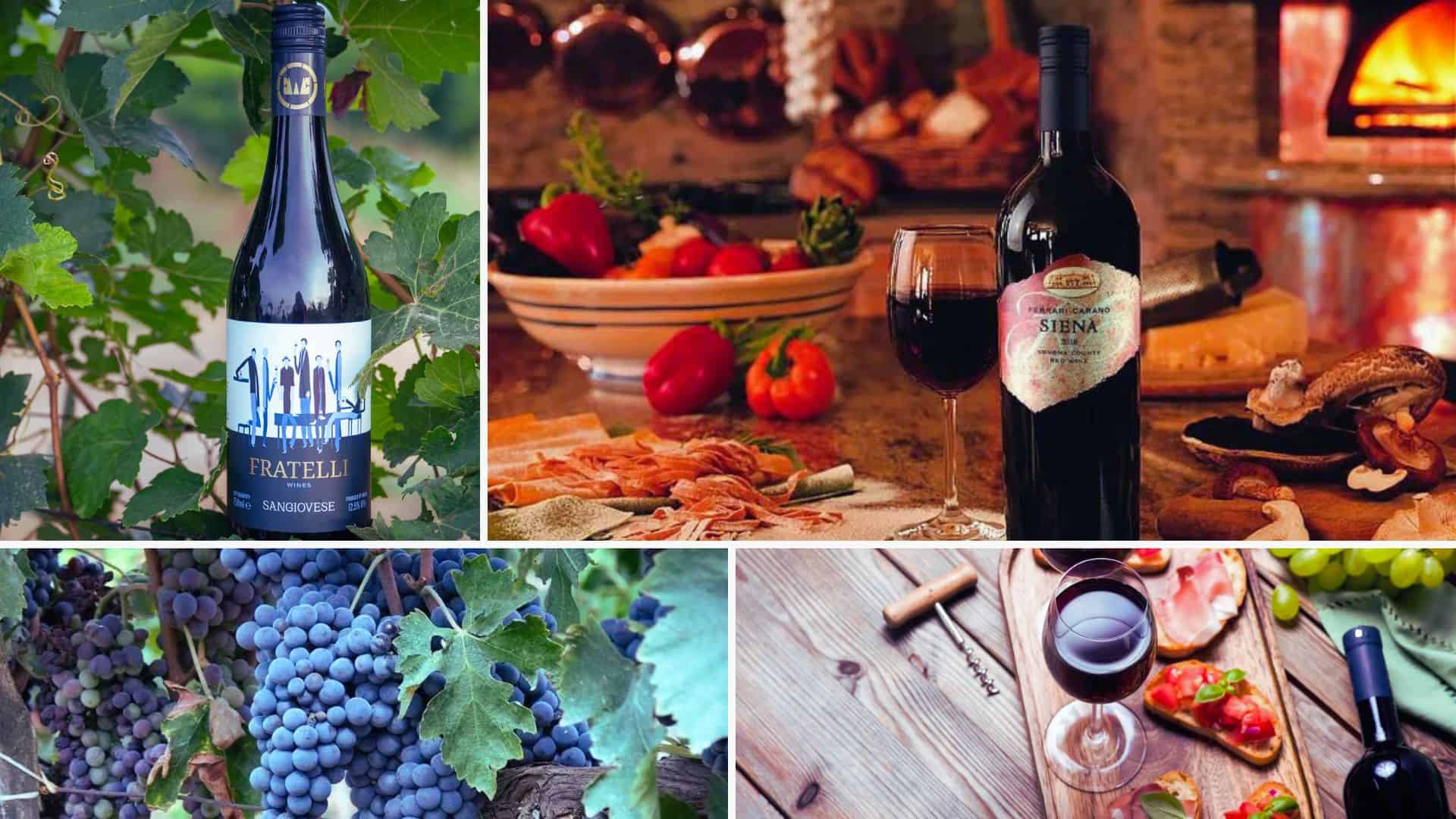 Is Too Much Olive Oil Bad for You? The Facts and Risks Explained